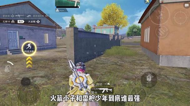 和平精英定制透视